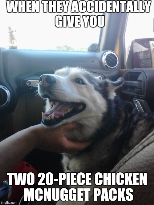 my dog loki | WHEN THEY ACCIDENTALLY GIVE YOU; TWO 20-PIECE CHICKEN MCNUGGET PACKS | image tagged in my dog loki | made w/ Imgflip meme maker