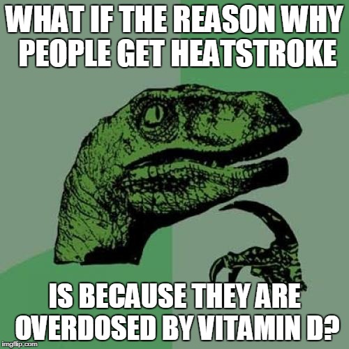 Philosoraptor | WHAT IF THE REASON WHY PEOPLE GET HEATSTROKE; IS BECAUSE THEY ARE OVERDOSED BY VITAMIN D? | image tagged in memes,philosoraptor | made w/ Imgflip meme maker