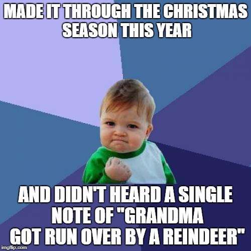 Success Kid Meme | MADE IT THROUGH THE CHRISTMAS SEASON THIS YEAR; AND DIDN'T HEARD A SINGLE NOTE OF "GRANDMA GOT RUN OVER BY A REINDEER" | image tagged in memes,success kid | made w/ Imgflip meme maker