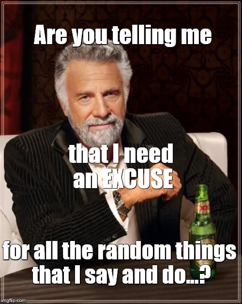 The Most Interesting Man In The World Meme | Are you telling me; that I need an EXCUSE; for all the random things that I say and do...? | image tagged in memes,the most interesting man in the world,no excuses | made w/ Imgflip meme maker