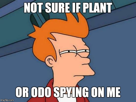 "What were you this time? The table? The chair? THE WINE BOTTLE!" | NOT SURE IF PLANT; OR ODO SPYING ON ME | image tagged in memes,futurama fry | made w/ Imgflip meme maker