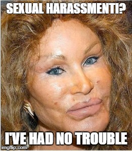 Ugly Woman |  SEXUAL HARASSMENTI? I'VE HAD NO TROUBLE | image tagged in ugly woman | made w/ Imgflip meme maker