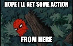 spiderman in bushes | HOPE I’LL GET SOME ACTION; FROM HERE | image tagged in spiderman in bushes | made w/ Imgflip meme maker