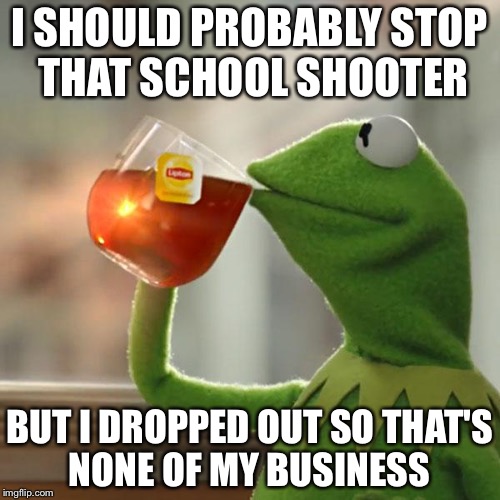 But That's None Of My Business Meme | I SHOULD PROBABLY STOP THAT SCHOOL SHOOTER; BUT I DROPPED OUT SO THAT'S NONE OF MY BUSINESS | image tagged in memes,but thats none of my business,kermit the frog | made w/ Imgflip meme maker