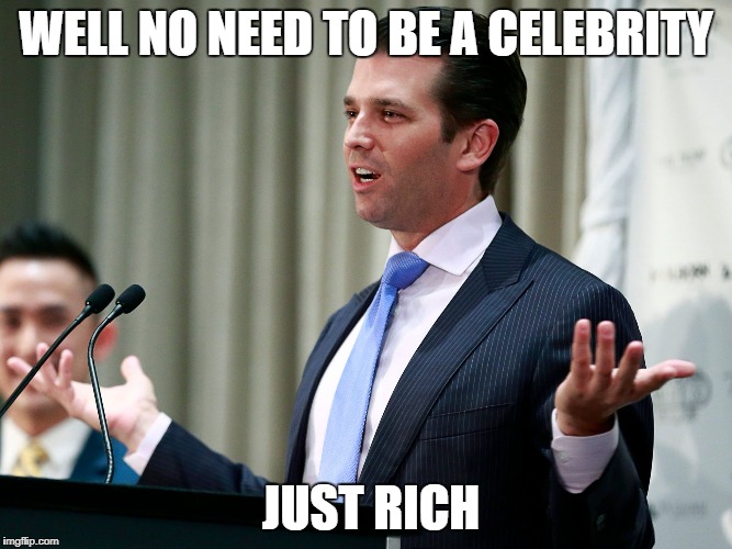 What Else Jr? | WELL NO NEED TO BE A CELEBRITY JUST RICH | image tagged in what else jr | made w/ Imgflip meme maker