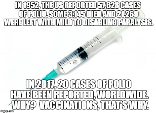 Vaccine | IN 1952, THE US REPORTED 57,628 CASES OF POLIO. SOME 3,145 DIED AND 21,269 WERE LEFT WITH MILD TO DISABLING PARALYSIS. IN 2017, 20 CASES OF POLIO HAVE BEEN REPORTED, WORLDWIDE.  WHY?  VACCINATIONS, THAT'S WHY. | image tagged in vaccine | made w/ Imgflip meme maker