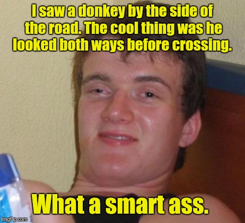 10 Guy Meme | I saw a donkey by the side of the road. The cool thing was he looked both ways before crossing. What a smart ass. | image tagged in memes,10 guy | made w/ Imgflip meme maker