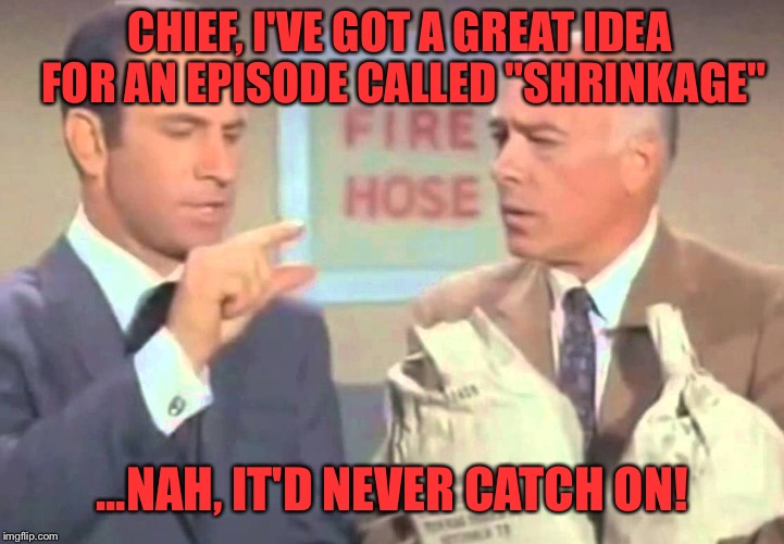 Don't sell yourself short, Max! | CHIEF, I'VE GOT A GREAT IDEA FOR AN EPISODE CALLED "SHRINKAGE"; ...NAH, IT'D NEVER CATCH ON! | image tagged in get smart,seinfeld,shrinkage,tv humor,spies,comedy | made w/ Imgflip meme maker