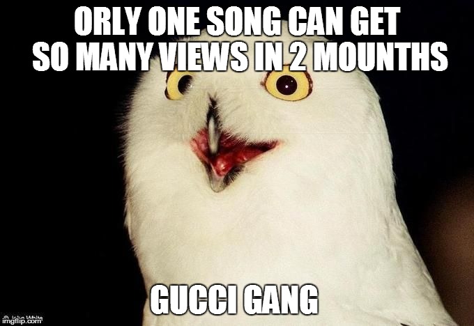 Orly Owl | ORLY ONE SONG CAN GET SO MANY VIEWS IN 2 MOUNTHS; GUCCI GANG | image tagged in orly owl | made w/ Imgflip meme maker