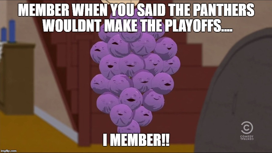 Member Berries | MEMBER WHEN YOU SAID THE PANTHERS WOULDNT MAKE THE PLAYOFFS.... I MEMBER!! | image tagged in memes,member berries | made w/ Imgflip meme maker