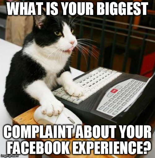 cat and computer | WHAT IS YOUR BIGGEST; COMPLAINT ABOUT YOUR FACEBOOK EXPERIENCE? | image tagged in cat and computer | made w/ Imgflip meme maker