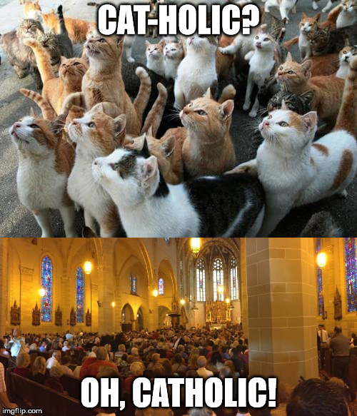 CAT-HOLIC? OH, CATHOLIC! | made w/ Imgflip meme maker