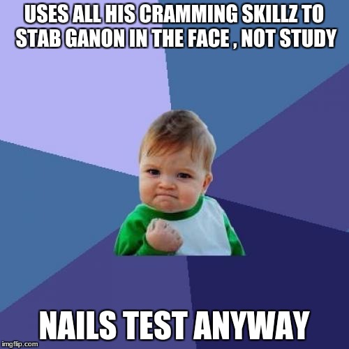 Success Kid Meme | USES ALL HIS CRAMMING SKILLZ TO STAB GANON IN THE FACE , NOT STUDY NAILS TEST ANYWAY | image tagged in memes,success kid | made w/ Imgflip meme maker