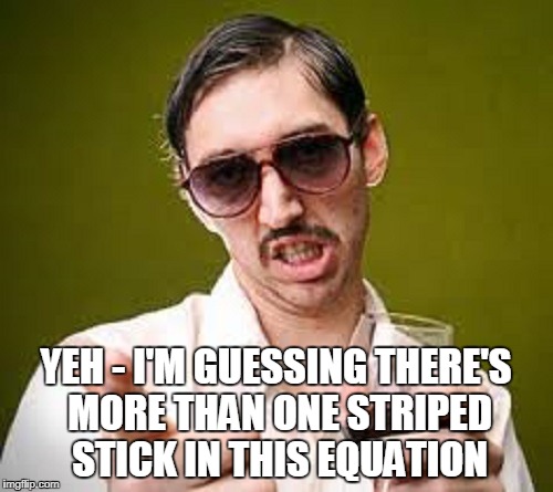 YEH - I'M GUESSING THERE'S MORE THAN ONE STRIPED STICK IN THIS EQUATION | made w/ Imgflip meme maker