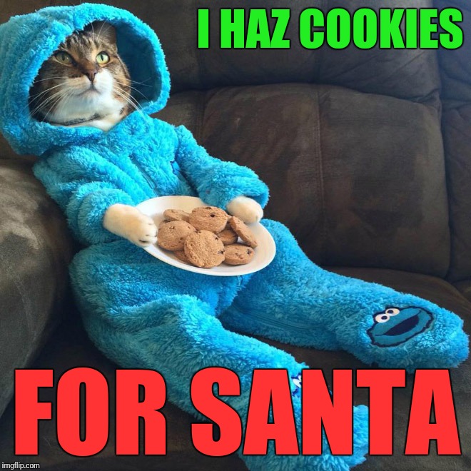 I HAZ COOKIES FOR SANTA | made w/ Imgflip meme maker