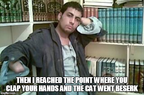 THEN I REACHED THE POINT WHERE YOU CLAP YOUR HANDS AND THE CAT WENT BESERK | made w/ Imgflip meme maker