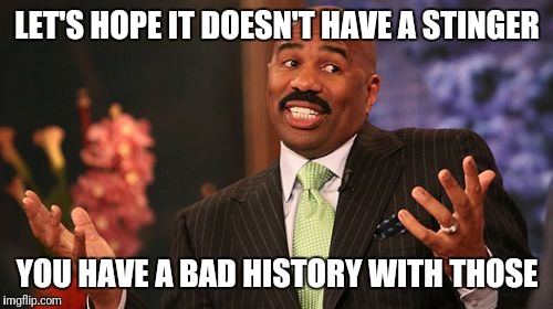 Steve Harvey Meme | LET'S HOPE IT DOESN'T HAVE A STINGER YOU HAVE A BAD HISTORY WITH THOSE | image tagged in memes,steve harvey | made w/ Imgflip meme maker