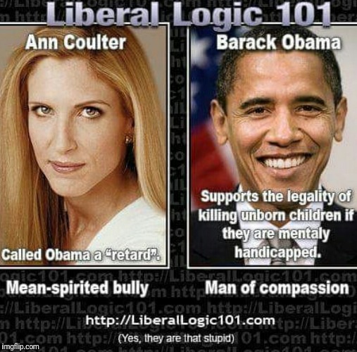 Liberals need to learn the truth | image tagged in obama logic,obama,liberals,college liberal,ann coulter | made w/ Imgflip meme maker