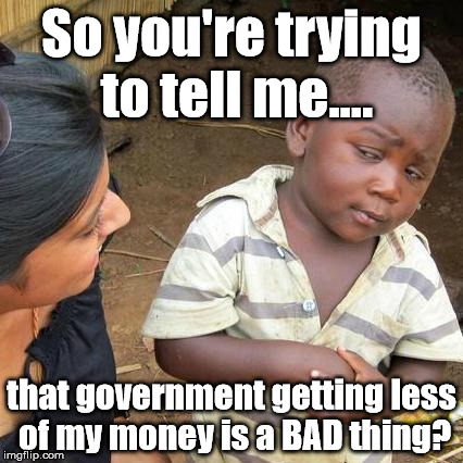Third World Skeptical Kid Meme | So you're trying to tell me.... that government getting less of my money is a BAD thing? | image tagged in memes,third world skeptical kid | made w/ Imgflip meme maker