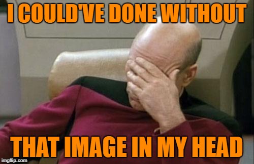 Captain Picard Facepalm Meme | I COULD'VE DONE WITHOUT THAT IMAGE IN MY HEAD | image tagged in memes,captain picard facepalm | made w/ Imgflip meme maker