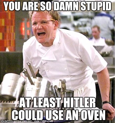 Chef Gordon Ramsay | YOU ARE SO DAMN STUPID; AT LEAST HITLER COULD USE AN OVEN | image tagged in memes,chef gordon ramsay | made w/ Imgflip meme maker