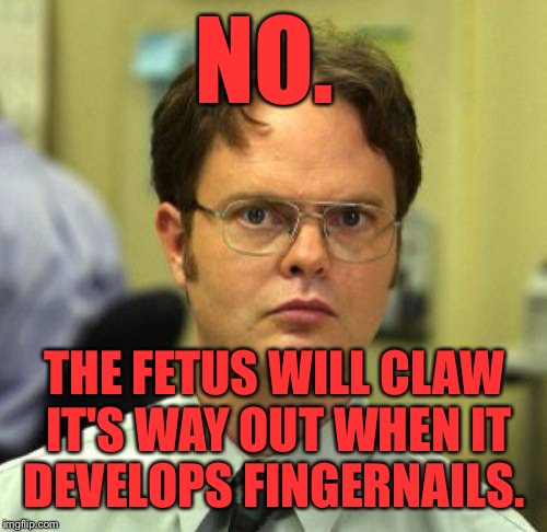 NO. THE FETUS WILL CLAW IT'S WAY OUT WHEN IT DEVELOPS FINGERNAILS. | made w/ Imgflip meme maker