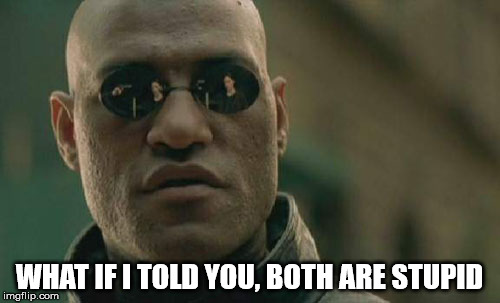 Matrix Morpheus Meme | WHAT IF I TOLD YOU, BOTH ARE STUPID | image tagged in memes,matrix morpheus | made w/ Imgflip meme maker