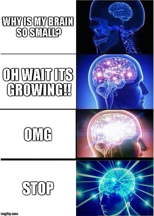 Expanding Brain | WHY IS MY BRAIN SO SMALL? OH WAIT ITS GROWING!! OMG; STOP | image tagged in memes,expanding brain | made w/ Imgflip meme maker