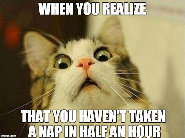 Scared Cat | WHEN YOU REALIZE; THAT YOU HAVEN'T TAKEN A NAP IN HALF AN HOUR | image tagged in memes,scared cat | made w/ Imgflip meme maker