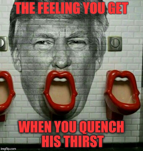Donald Trump Urinal | THE FEELING YOU GET WHEN YOU QUENCH HIS THIRST | image tagged in donald trump urinal | made w/ Imgflip meme maker