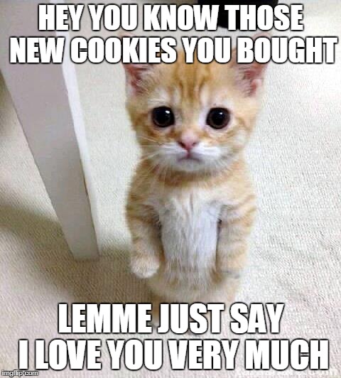 I ate your cookies... | HEY YOU KNOW THOSE NEW COOKIES YOU BOUGHT; LEMME JUST SAY I LOVE YOU VERY MUCH | image tagged in memes,cute cat,cat,cookies | made w/ Imgflip meme maker