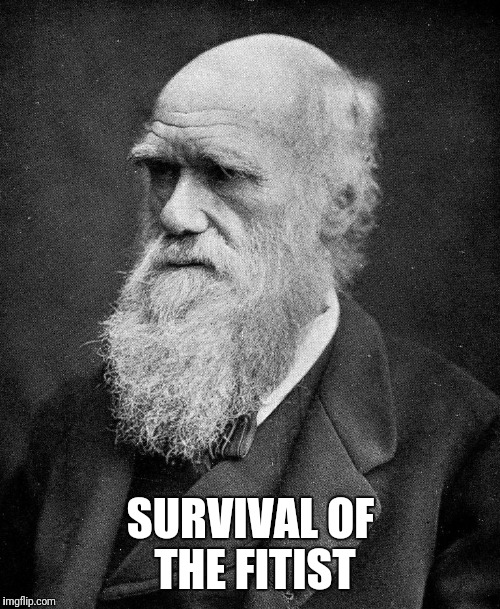 SURVIVAL OF THE FITIST | made w/ Imgflip meme maker