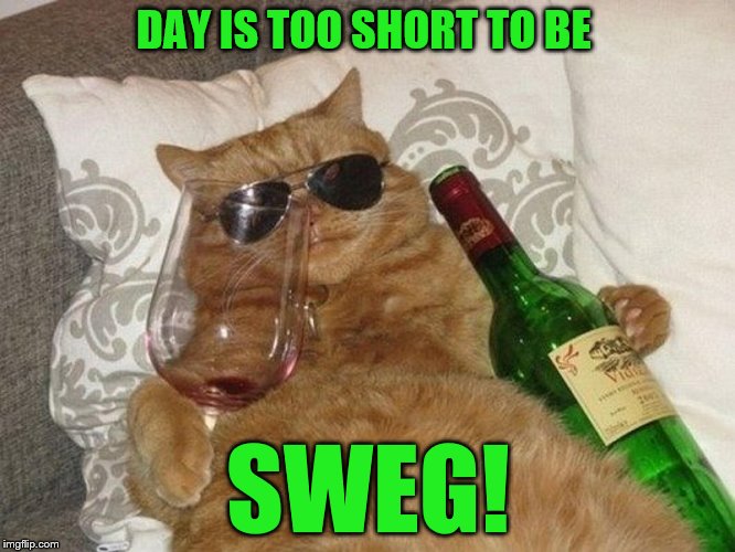 DAY IS TOO SHORT TO BE SWEG! | made w/ Imgflip meme maker