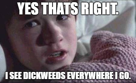 I See Dead People |  YES THATS RIGHT. I SEE DICKWEEDS EVERYWHERE I GO. | image tagged in memes,i see dead people | made w/ Imgflip meme maker
