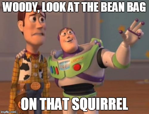X, X Everywhere Meme | WOODY, LOOK AT THE BEAN BAG ON THAT SQUIRREL | image tagged in memes,x x everywhere | made w/ Imgflip meme maker