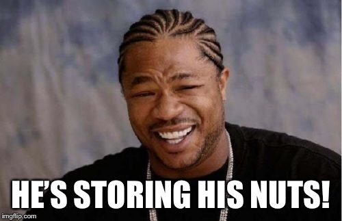 Yo Dawg Heard You Meme | HE’S STORING HIS NUTS! | image tagged in memes,yo dawg heard you | made w/ Imgflip meme maker