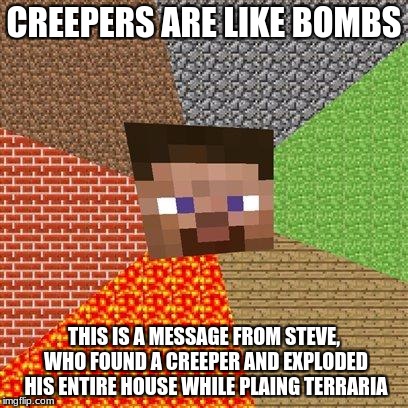 Minecraft Steve | CREEPERS ARE LIKE BOMBS; THIS IS A MESSAGE FROM STEVE, WHO FOUND A CREEPER AND EXPLODED HIS ENTIRE HOUSE WHILE PLAING TERRARIA | image tagged in minecraft steve | made w/ Imgflip meme maker