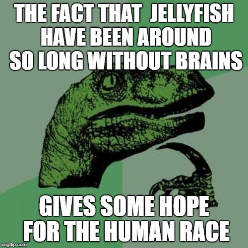 Philosoraptor Meme | THE FACT THAT  JELLYFISH HAVE BEEN AROUND SO LONG WITHOUT BRAINS; GIVES SOME HOPE FOR THE HUMAN RACE | image tagged in memes,philosoraptor | made w/ Imgflip meme maker