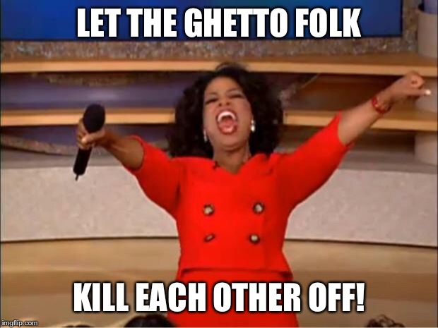Oprah You Get A Meme | LET THE GHETTO FOLK KILL EACH OTHER OFF! | image tagged in memes,oprah you get a | made w/ Imgflip meme maker