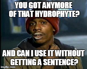 Y'all Got Any More Of That Meme | YOU GOT ANYMORE OF THAT HYDROPHYTE? AND CAN I USE IT WITHOUT GETTING A SENTENCE? | image tagged in memes,yall got any more of | made w/ Imgflip meme maker