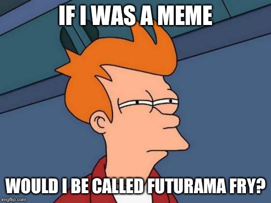 Futurama Fry | IF I WAS A MEME; WOULD I BE CALLED FUTURAMA FRY? | image tagged in memes,futurama fry | made w/ Imgflip meme maker