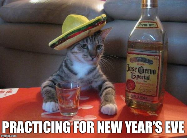 alcohol cat | PRACTICING FOR NEW YEAR’S EVE | image tagged in alcohol cat | made w/ Imgflip meme maker