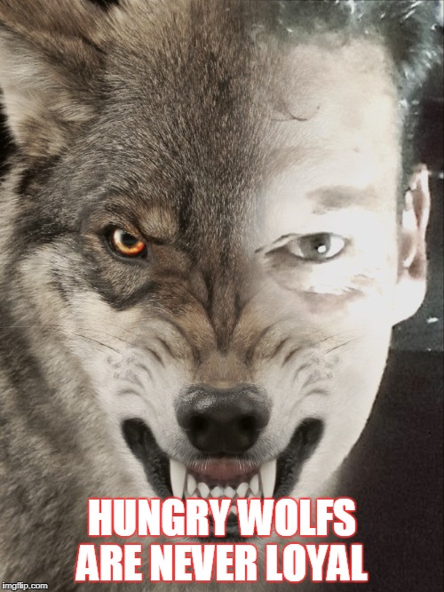 HUNGRY WOLFS ARE NEVER LOYAL | image tagged in hungry wolf | made w/ Imgflip meme maker