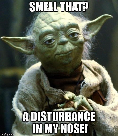 Star Wars Yoda Meme | SMELL THAT? A DISTURBANCE IN MY NOSE! | image tagged in memes,star wars yoda | made w/ Imgflip meme maker