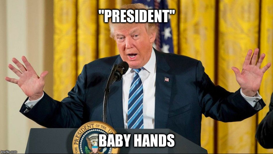 "PRESIDENT"; BABY HANDS | image tagged in president baby hands | made w/ Imgflip meme maker