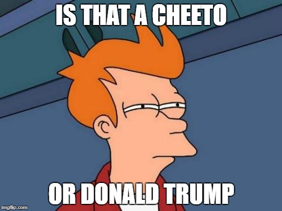 Futurama Fry | IS THAT A CHEETO; OR DONALD TRUMP | image tagged in memes,futurama fry | made w/ Imgflip meme maker