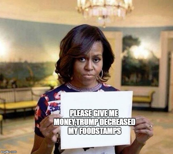 Michelle Obama blank sheet |  PLEASE GIVE ME MONEY,TRUMP DECREASED MY FOODSTAMPS | image tagged in michelle obama blank sheet | made w/ Imgflip meme maker