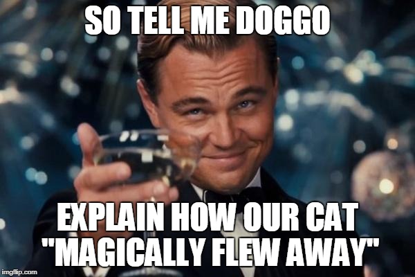 Leonardo Dicaprio Cheers | SO TELL ME DOGGO; EXPLAIN HOW OUR CAT "MAGICALLY FLEW AWAY" | image tagged in memes,leonardo dicaprio cheers | made w/ Imgflip meme maker