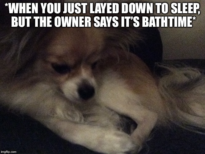Sad bath | *WHEN YOU JUST LAYED DOWN TO SLEEP, BUT THE OWNER SAYS IT’S BATHTIME* | image tagged in sad doggo | made w/ Imgflip meme maker