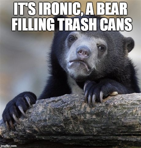 Confession Bear Meme | IT'S IRONIC, A BEAR FILLING TRASH CANS | image tagged in memes,confession bear | made w/ Imgflip meme maker